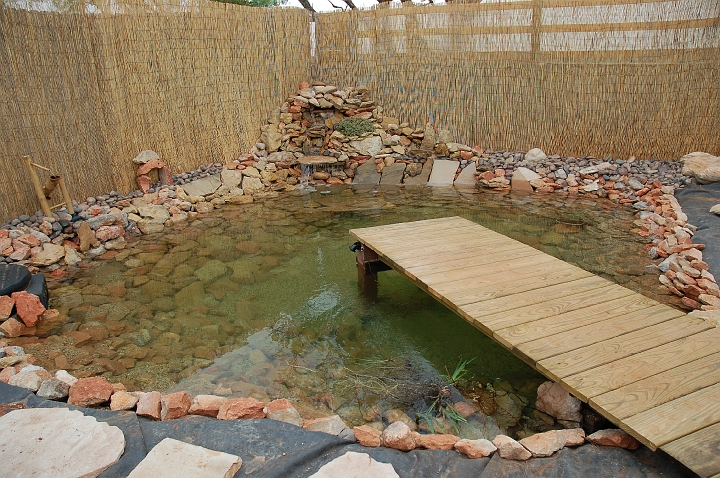 Straight into pond.jpg